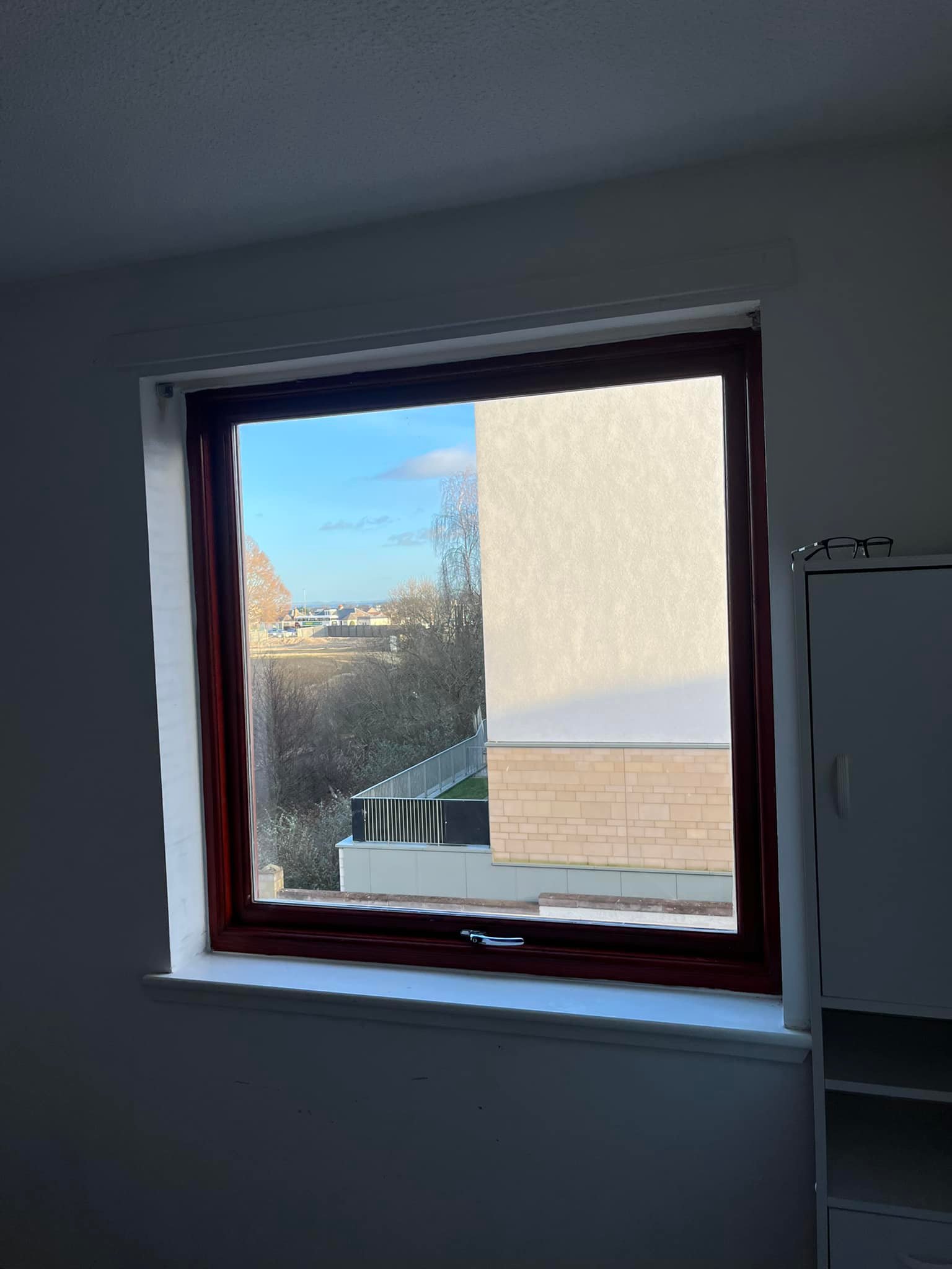 Case windows in home looking out to garden